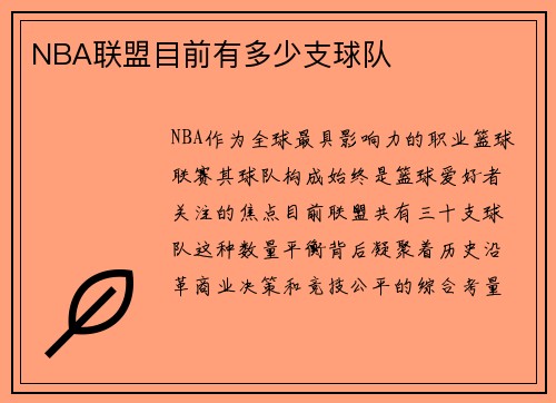 NBA联盟目前有多少支球队